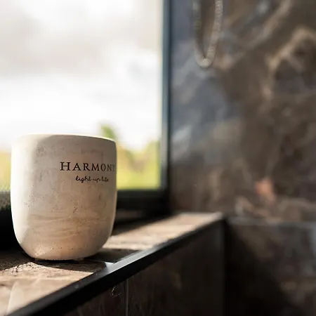 Ботель Lieblingsplatz Parey - Hausboot-Panorama Elbe-Parey